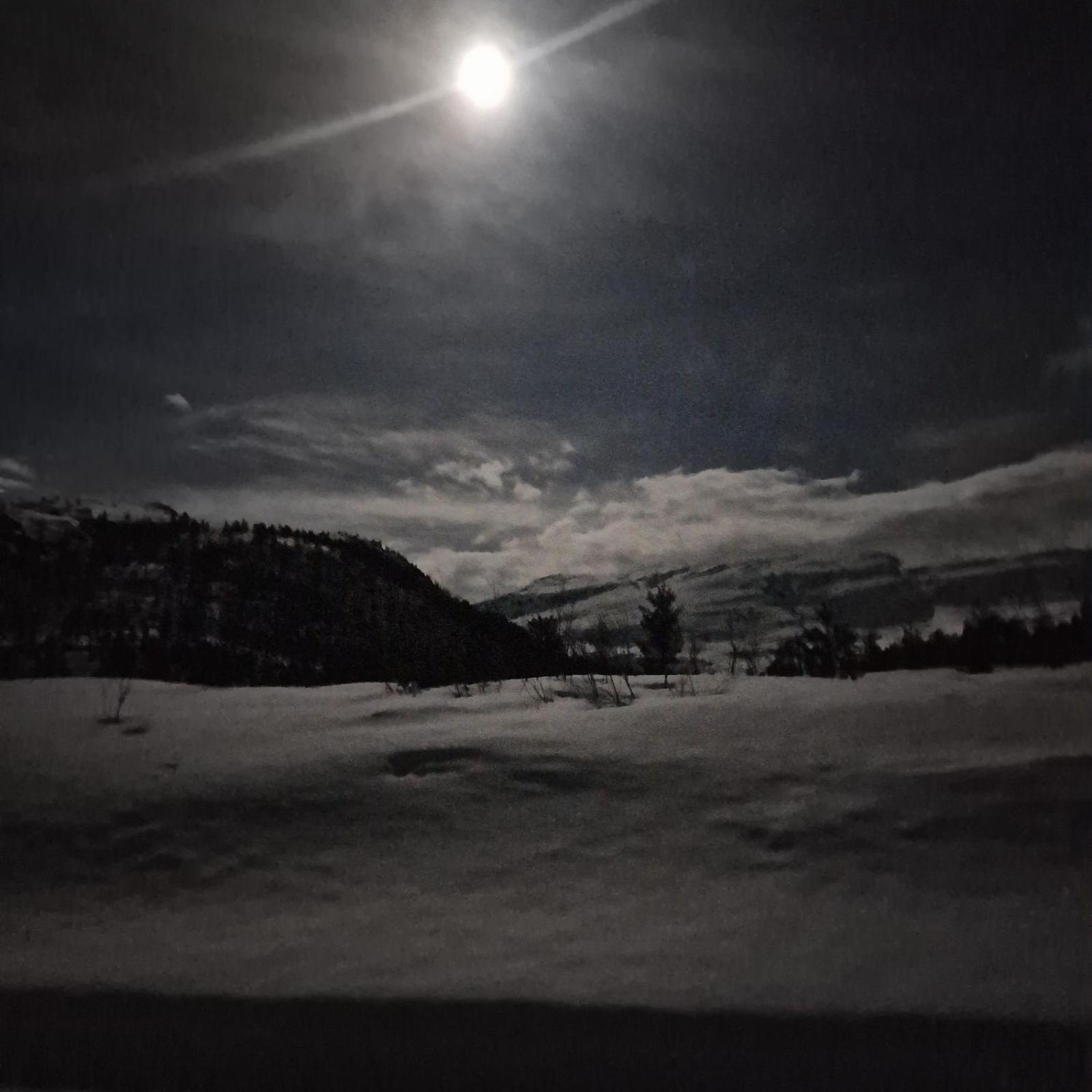 Kvamskogen & Hardanger Holliday Homes Norheimsund Bagian luar foto