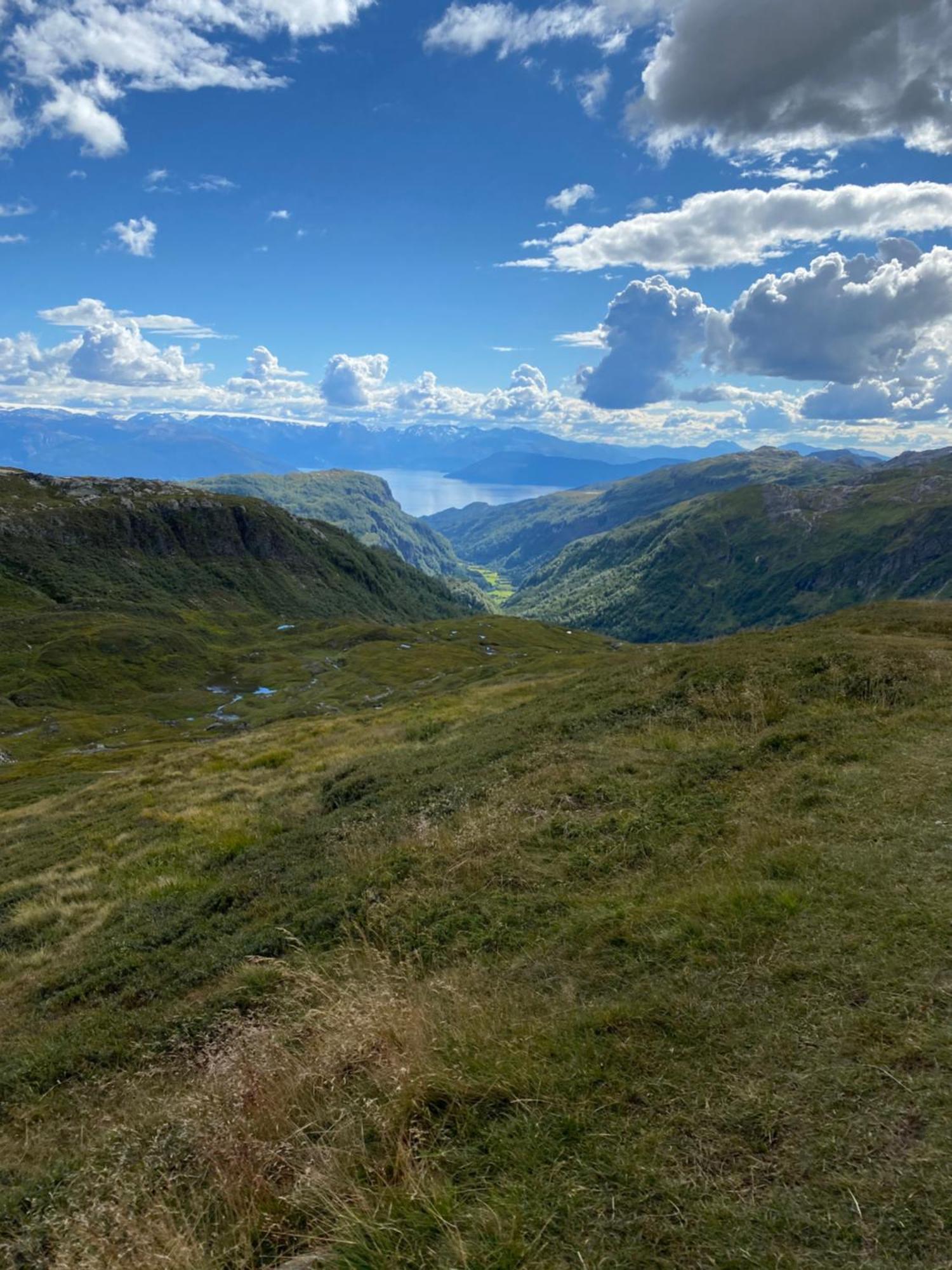 Kvamskogen & Hardanger Holliday Homes Norheimsund Bagian luar foto